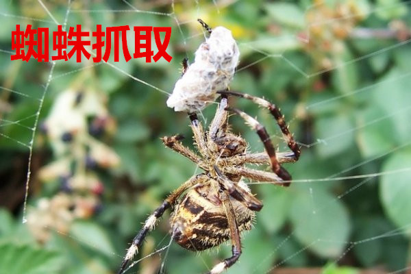 淺談企業(yè)對于營銷型網站建設存在的四個誤解(圖1)